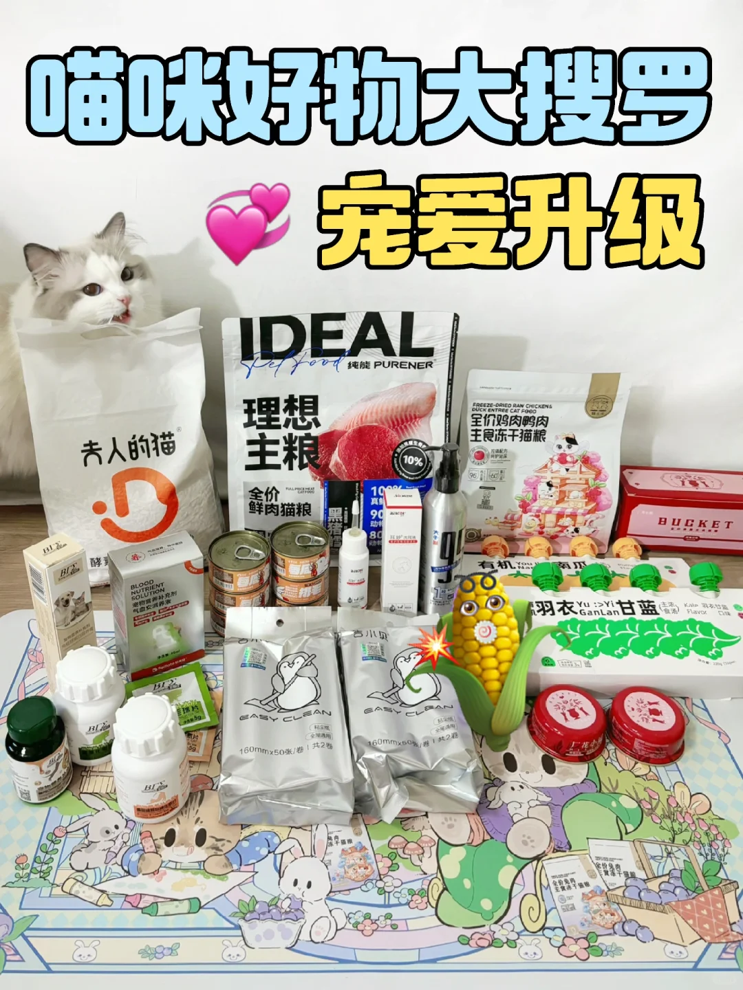 【宠爱升级】喵咪好物搜罗