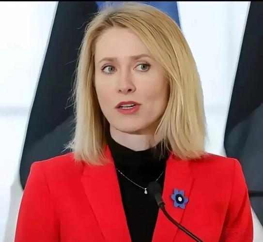 连欧洲人都感觉到这个世界变了，然而还是有很多人沉浸在过去的世界关系里，走不出来。