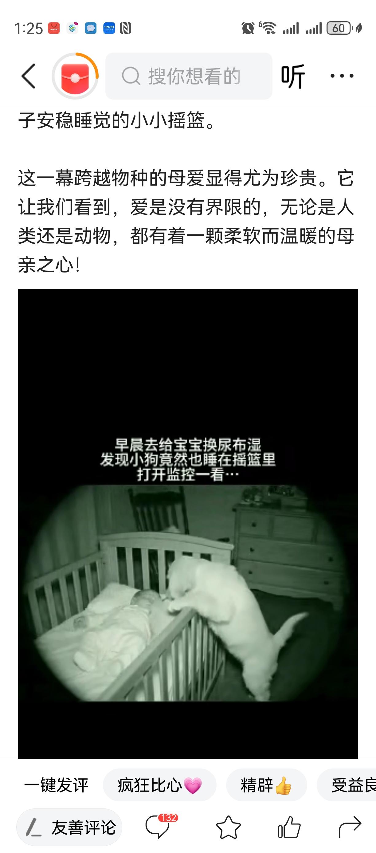 彻底解释不清楚了！女子早上起来给宝宝换尿不湿时，发现家里的小狗也睡在摇篮里！可是