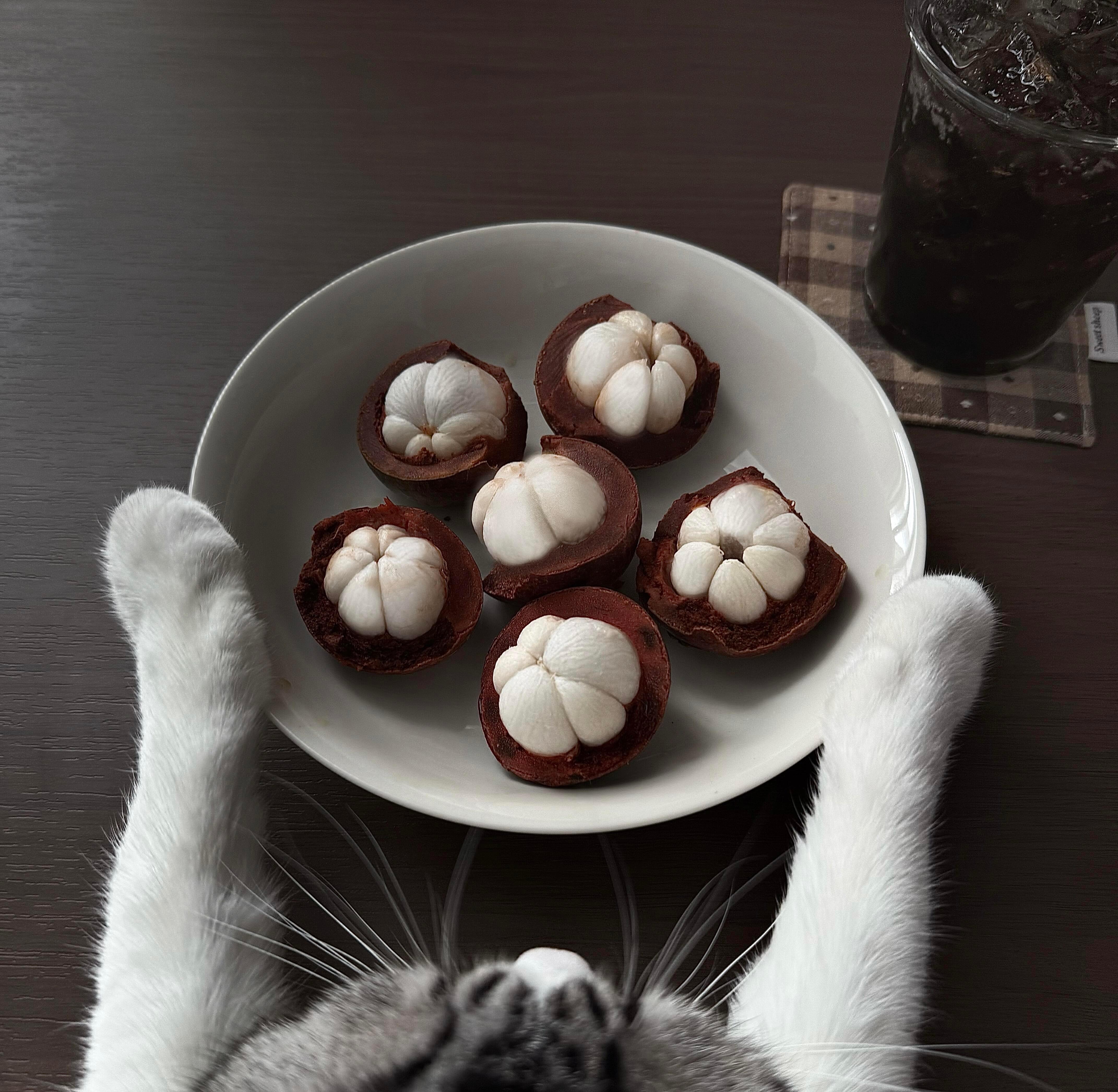 猫咪头像 🍓人，和咪一起吃早饭🍰 📕Jade 