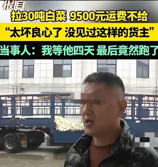 脸都不要了！河南，一男子从内蒙订了30吨白菜，并承诺到时给货运司机9500元运费