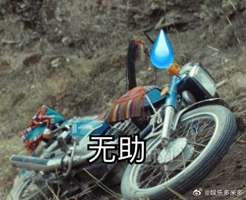上一个给摩托车起名的还是杨丞琳 梅朵是摩托车也太戳人！以为是藏地大姑娘，却是风里