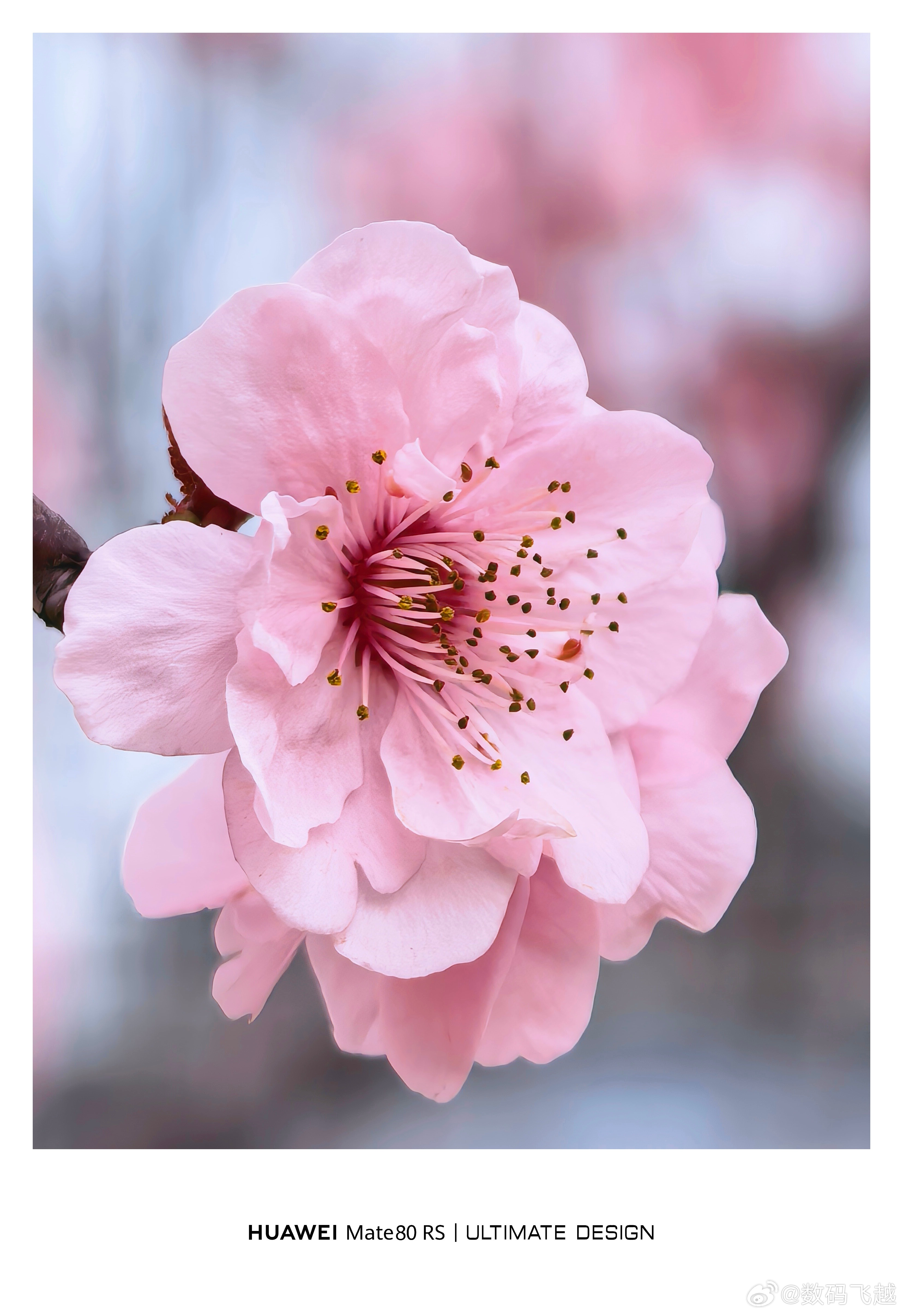 华为Mate80系列双潜望长焦还是太权威了，这十倍看起来绝绝子！ 