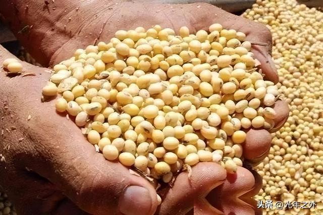 放着俄罗斯非转基因大豆不买，反倒大批进口美豆？账算明白就不纠结
 
不少网友心里