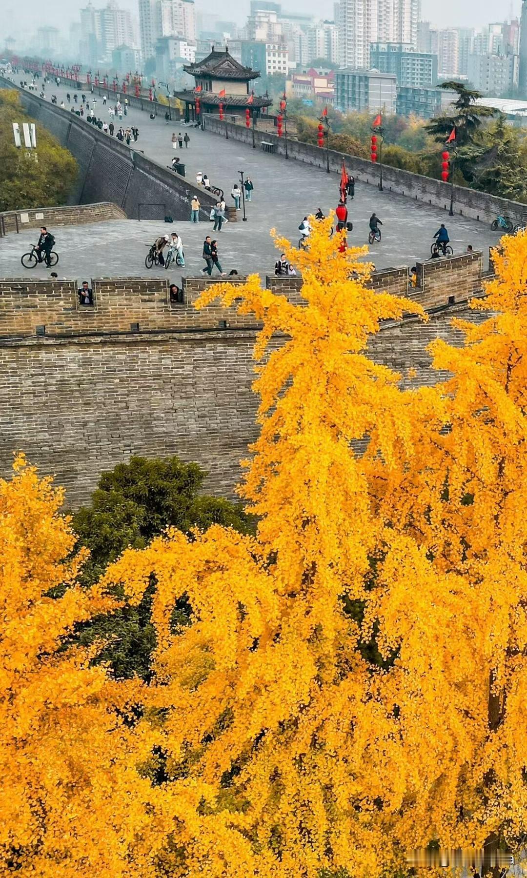 晒图笔记大赛秋风瑟瑟，悠然自得，心若向阳，何处都是美好的风景。