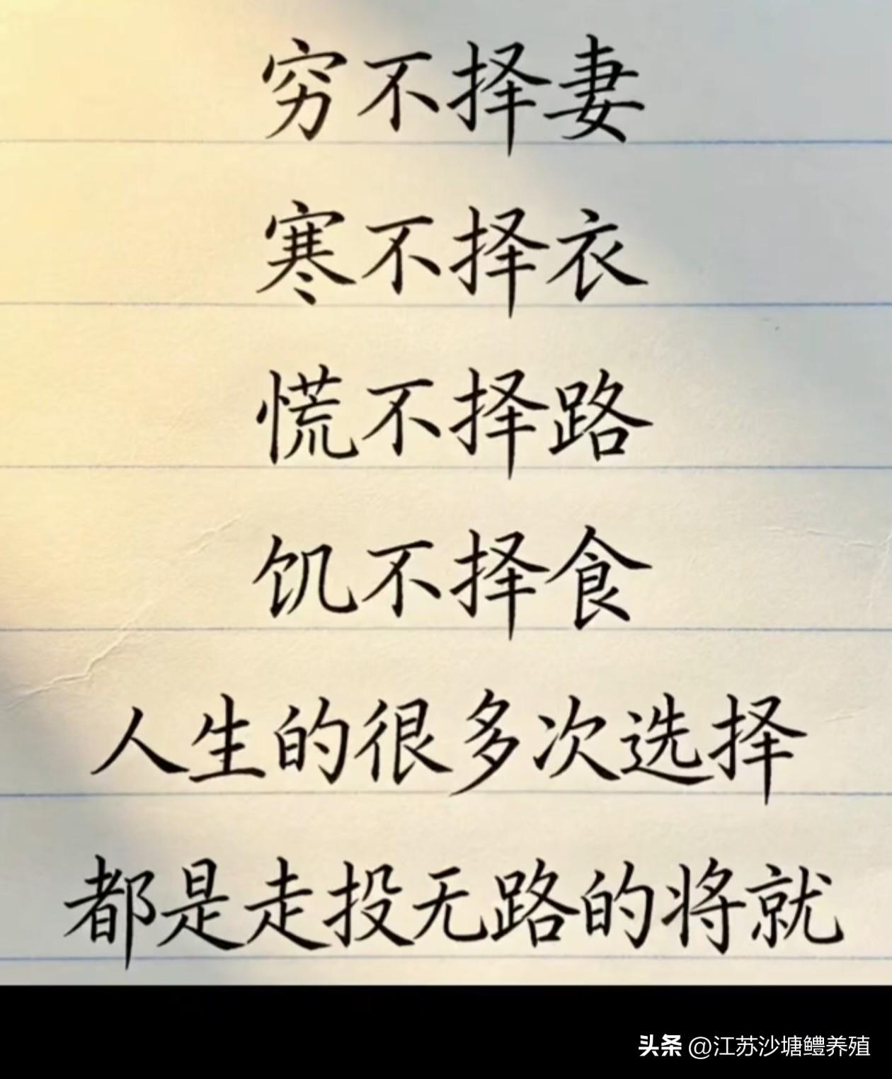 人这一辈子，
就是一个过程！


这辈子感悟 人这一生一场戏 挣钱一辈子的钱 这