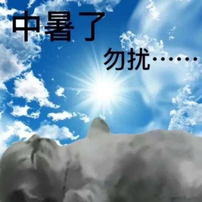 热的受不了了，谁有后羿电话 ​​​