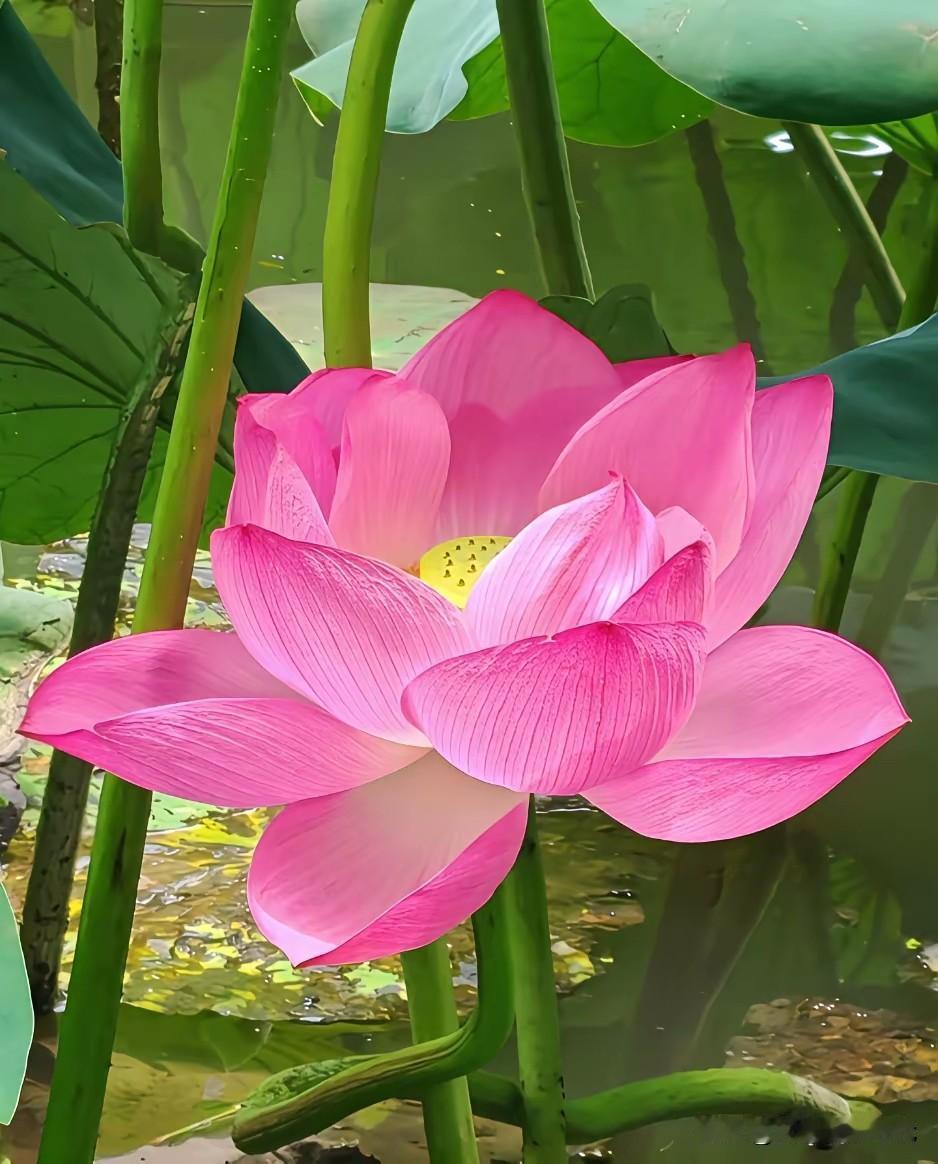 一位老中医的肺腑之言：
你天天锻炼，
不如学会“偷懒”！

你天天跑步
天天跳操