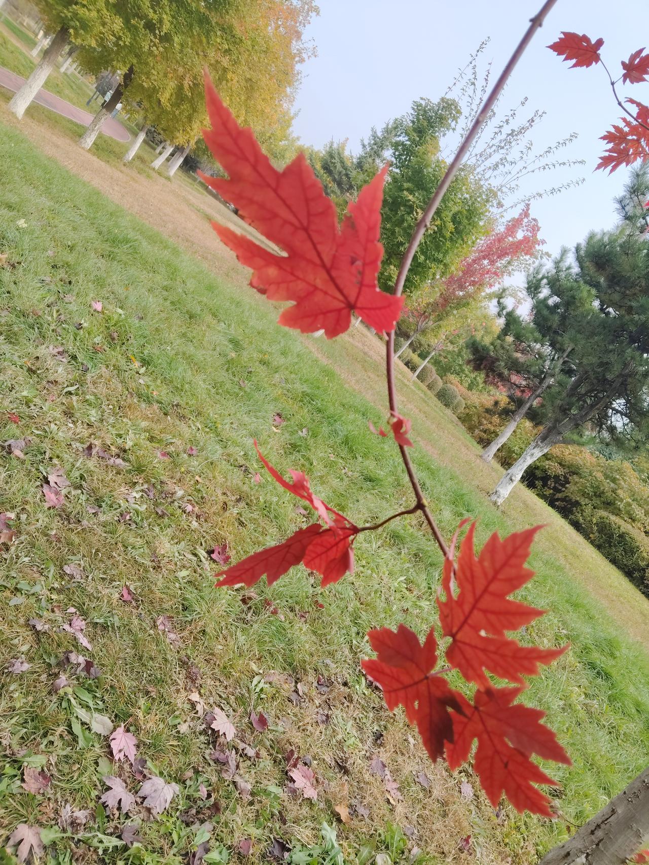 导游威胁游客：“一会到免锐店，你坚决上不了车，我让你回不了中国！”

出门在外大