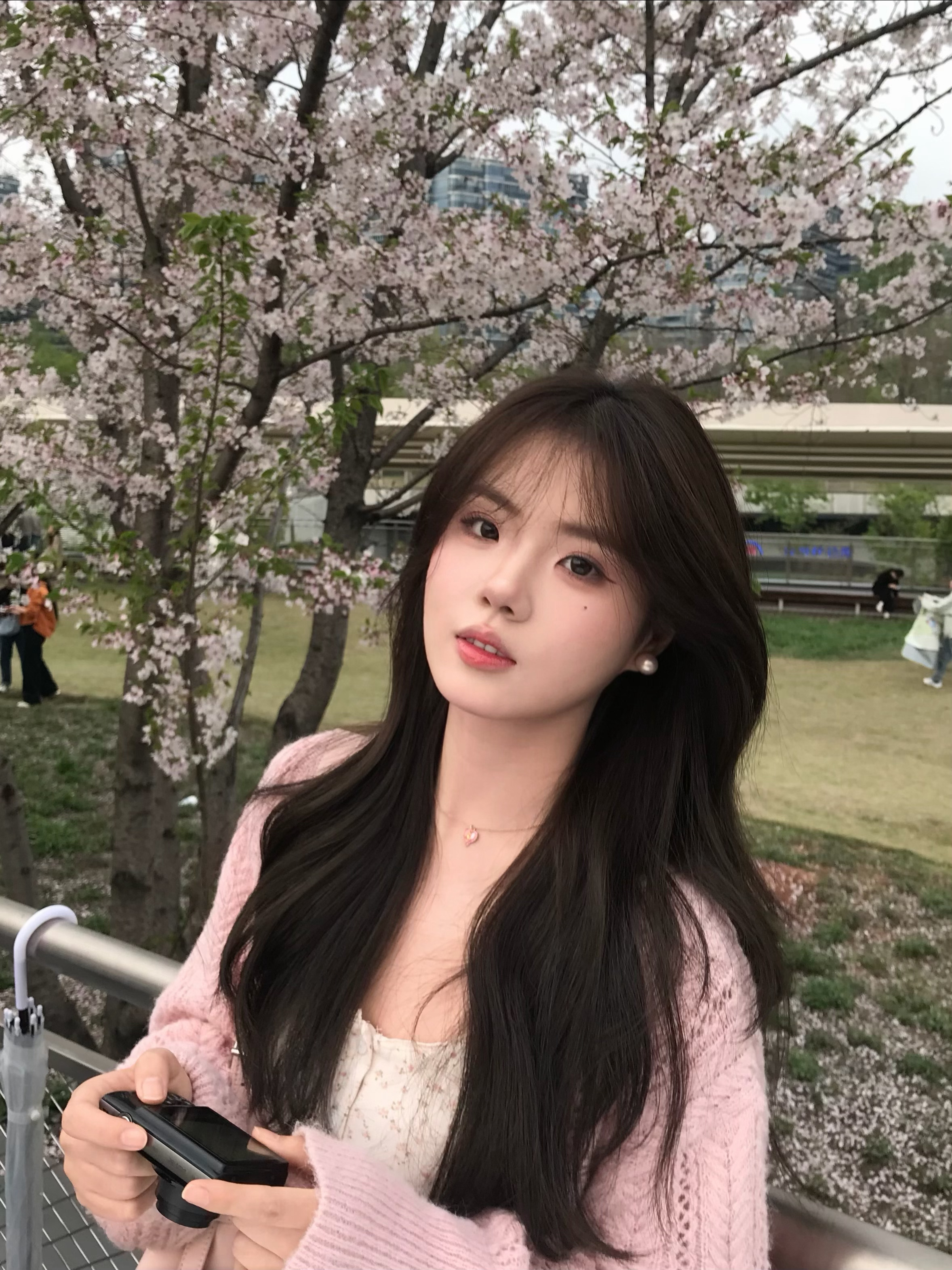 今天出来拍樱花了🌸 可是杭州的天气差差的☁️☁️☁️ 