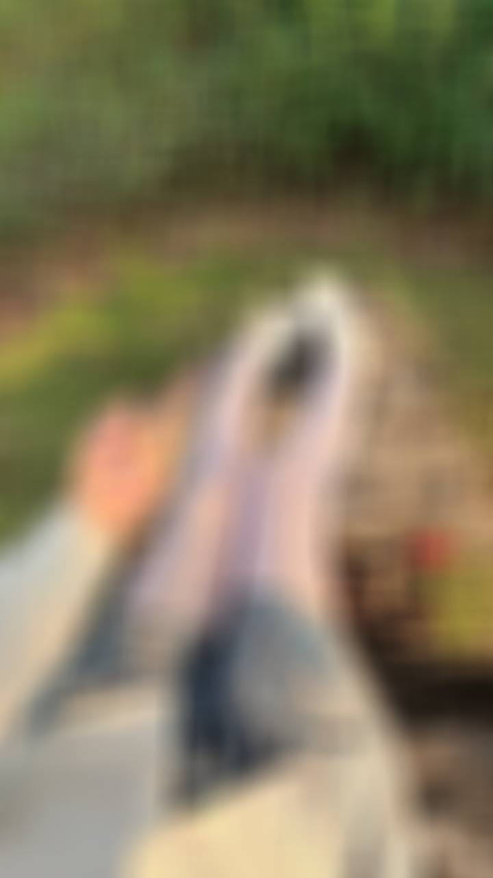 双重buff谁懂哈哈哈哈 ​​​