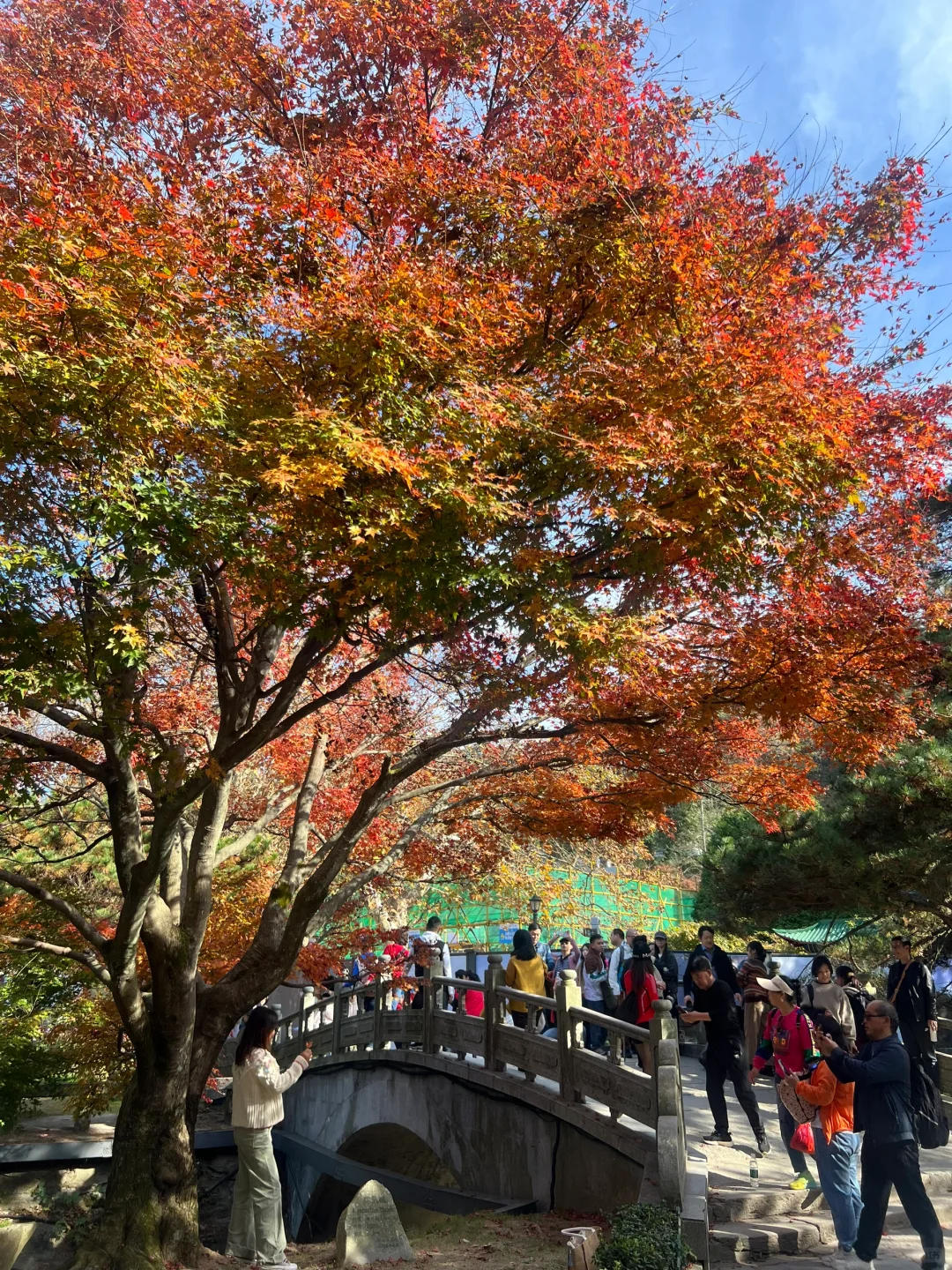 Live🍁庐山已经杀疯啦【11.10】