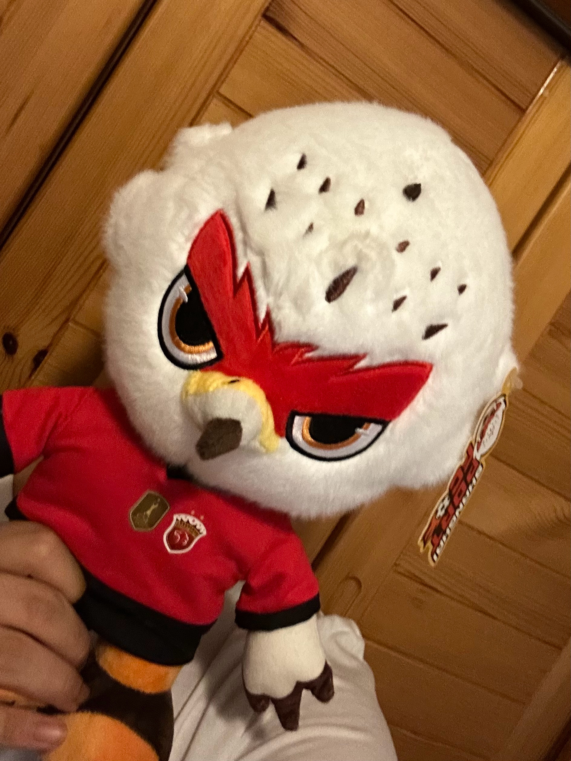 傻了吧！爷会飞