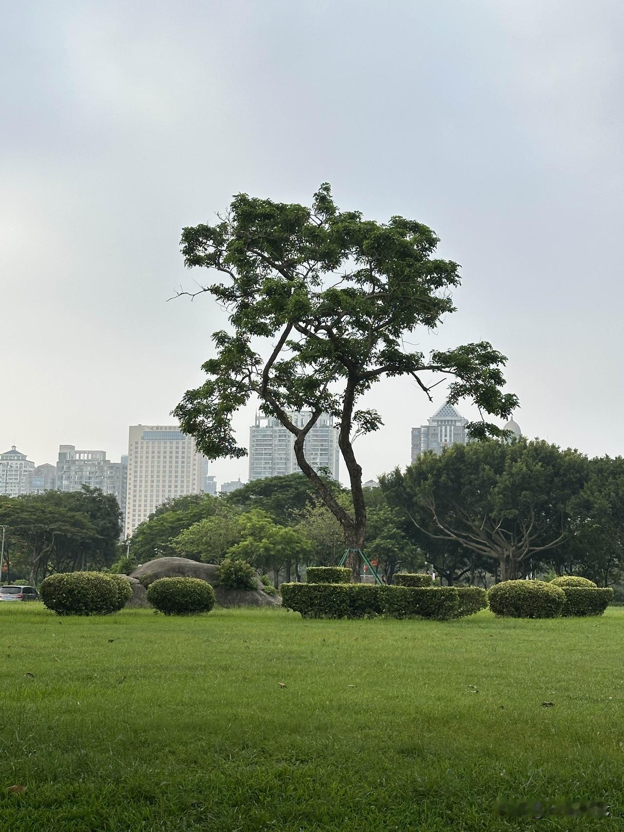 记录我的2026