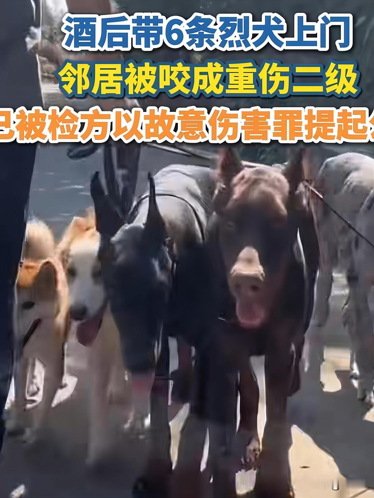 不是普通恶犬闯祸！男子为报复邻居，主动带6只烈犬上门，指挥群犬撕咬致人重伤。
 