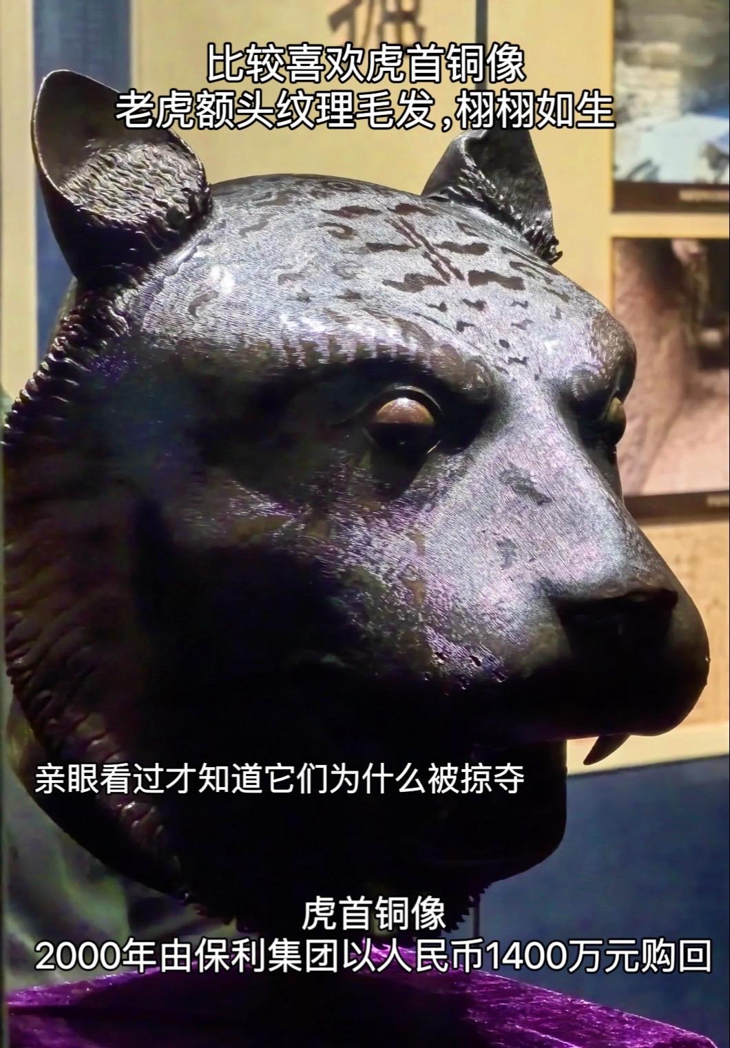 为什么我的眼里常含水，因为我对这片土地爱的深沉
如果文物会说话，它们会控诉悲惨的遭遇还是倾诉对故乡的思念
让更多文物回家，是我们国人的心愿