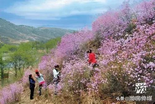 春天里的风景，人与自然和谐共生。