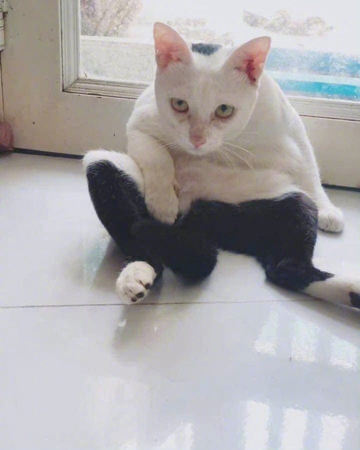 你这裤衩有点别致啊！！！