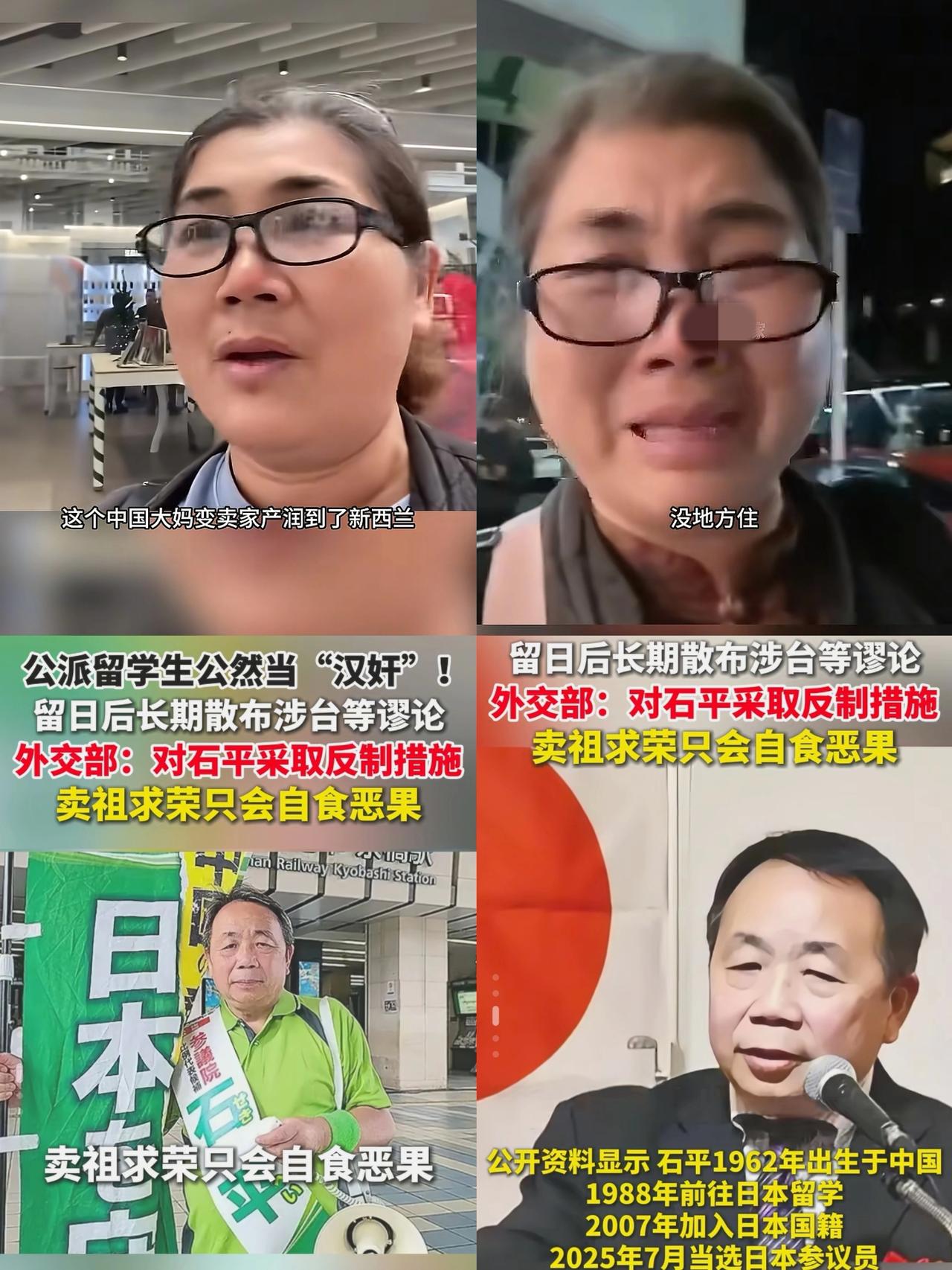 看到石平的操作，
让我想起移居新西兰的杨大妈，
或许他就是下一个杨大妈，甚至比她