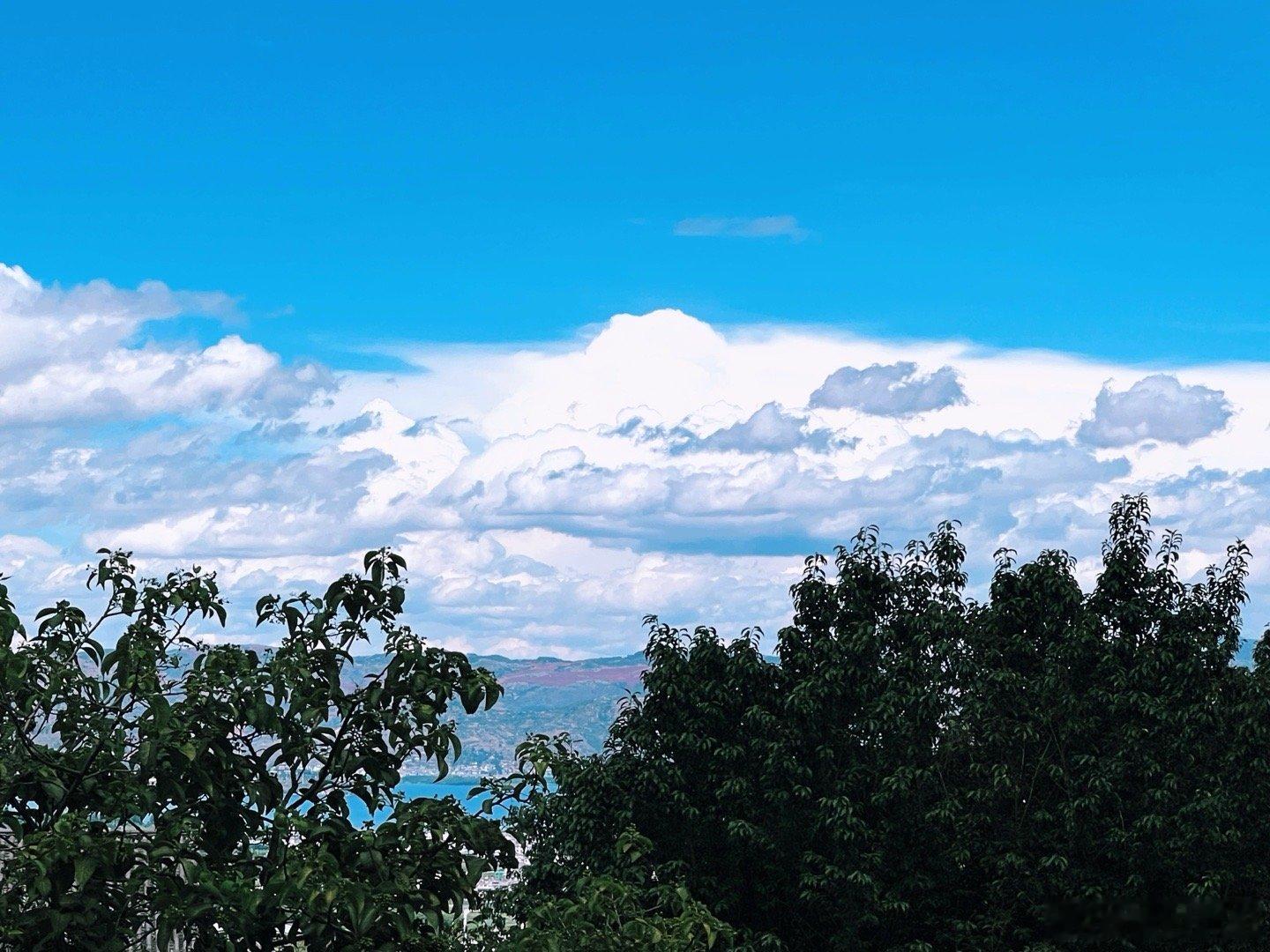 天气预报半日都有雨 