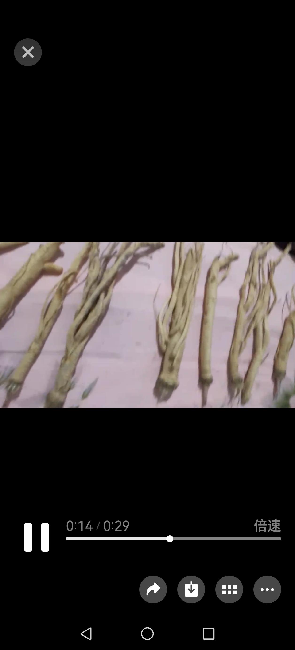 昨天母亲去邻村帮人家收中药，大家帮我看看前两个是什么品种？