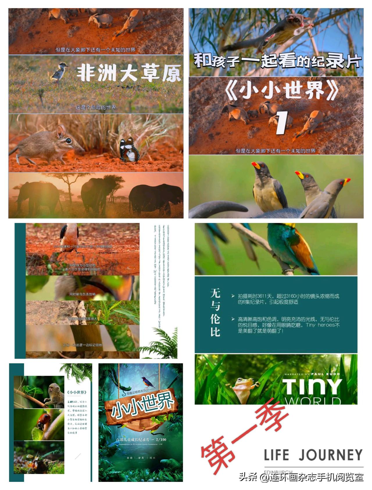 微杂志〔《小小世界》第一季、精美诗抄〕