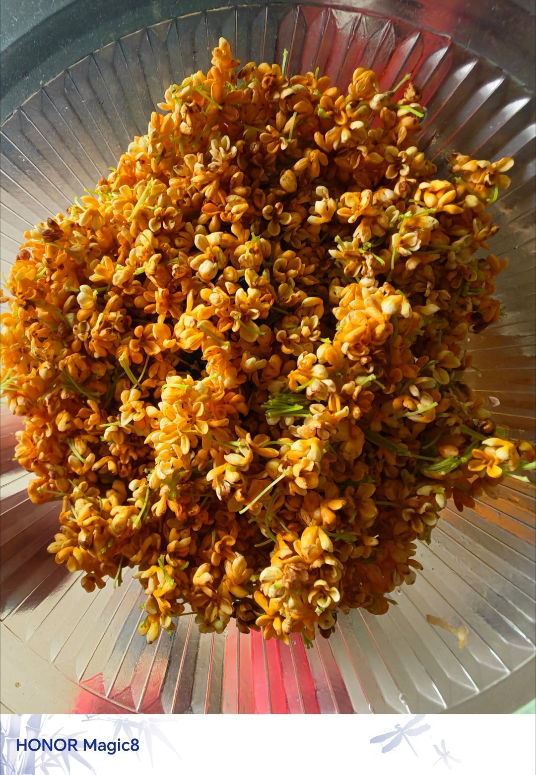 摘了一大碗桂花，大家觉得是泡茶好还是煲粥好