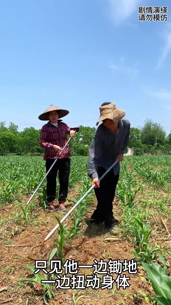 夫妻两个干农活时丈夫把玉米锄掉了，下一秒媳妇生气的教训他。
夫妻两个在地干农活，