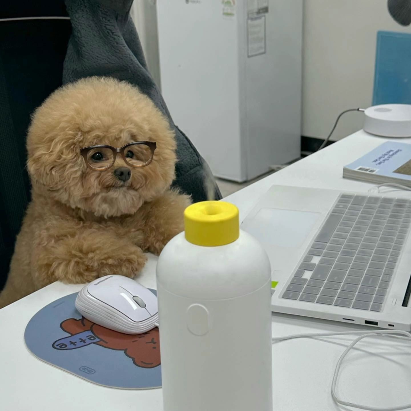 新来的同事手不够长坐了一天什么也没干 