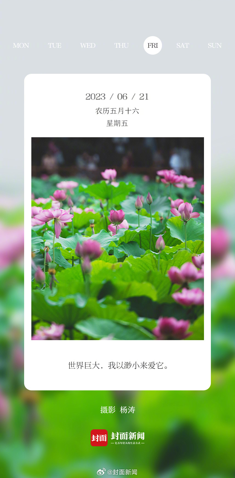 #小封日历# 今天，迎来#夏至#，愿所有美好如约而至~[太阳] ​​​