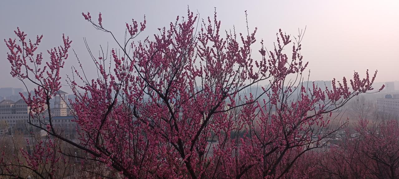 美国对他国制裁一直是美国是维护其霸权利益的重要工具。
       你不听我美国