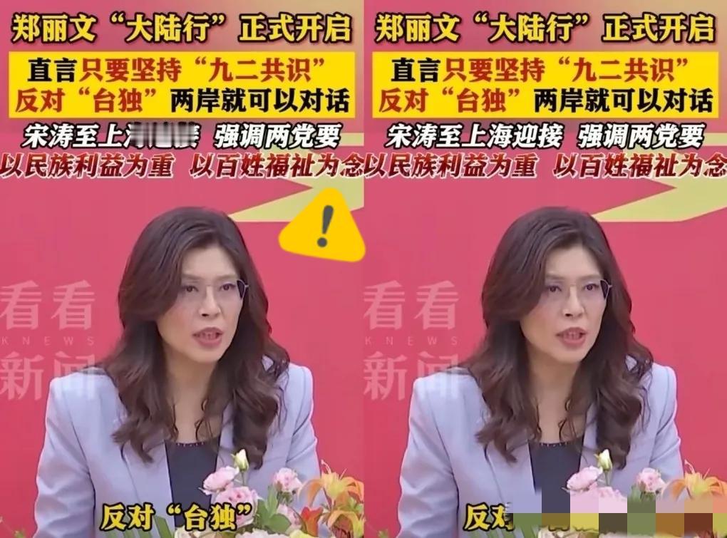 郑丽文一行到访上海，直接戳破了岛内某些人精心编织的谎言。亲身踏上大陆土地后，她直