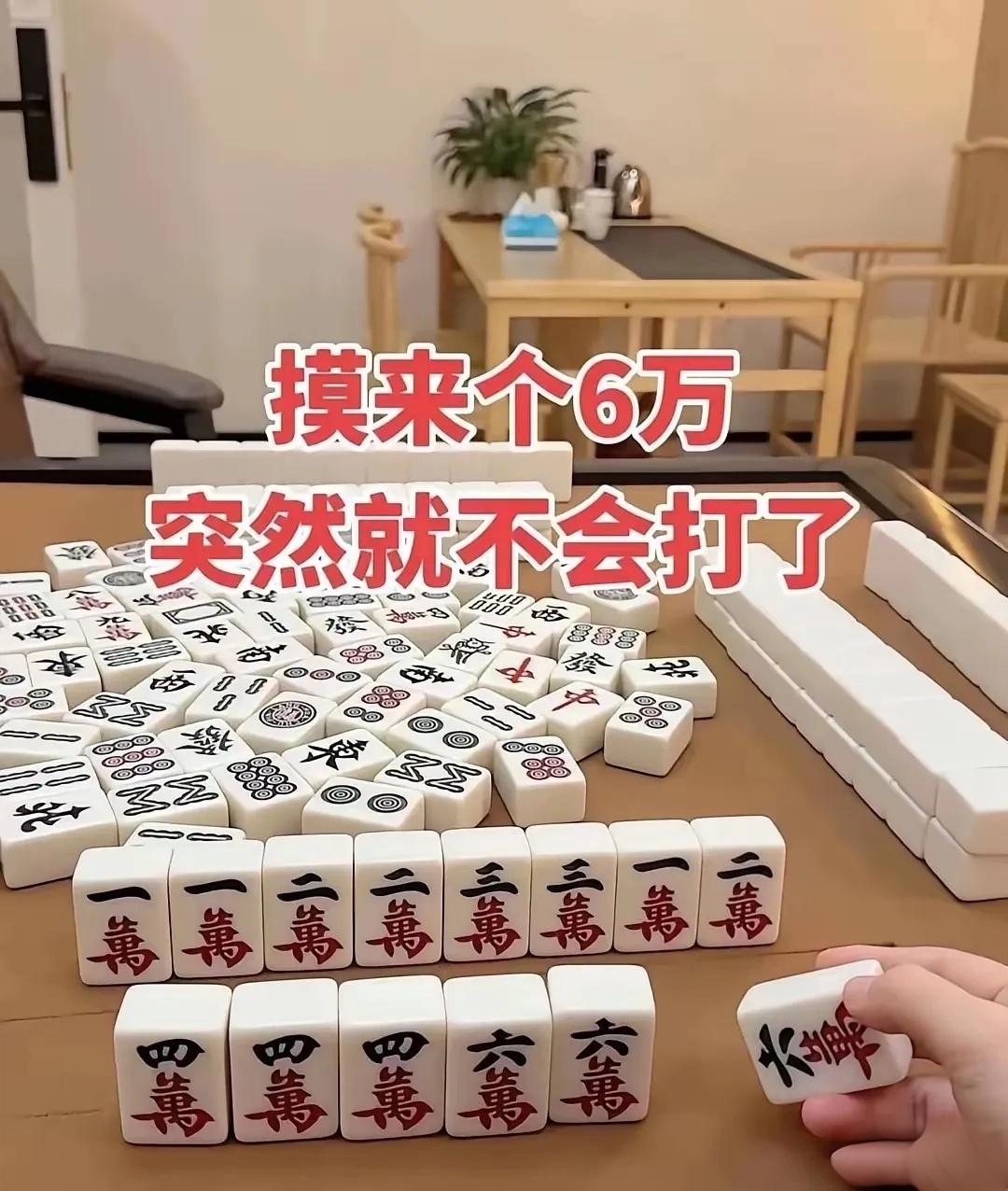 看不明白了，不知道胡什么。幸亏摸来个6万。
这牌除了6万，还能胡什么呢？我是新手