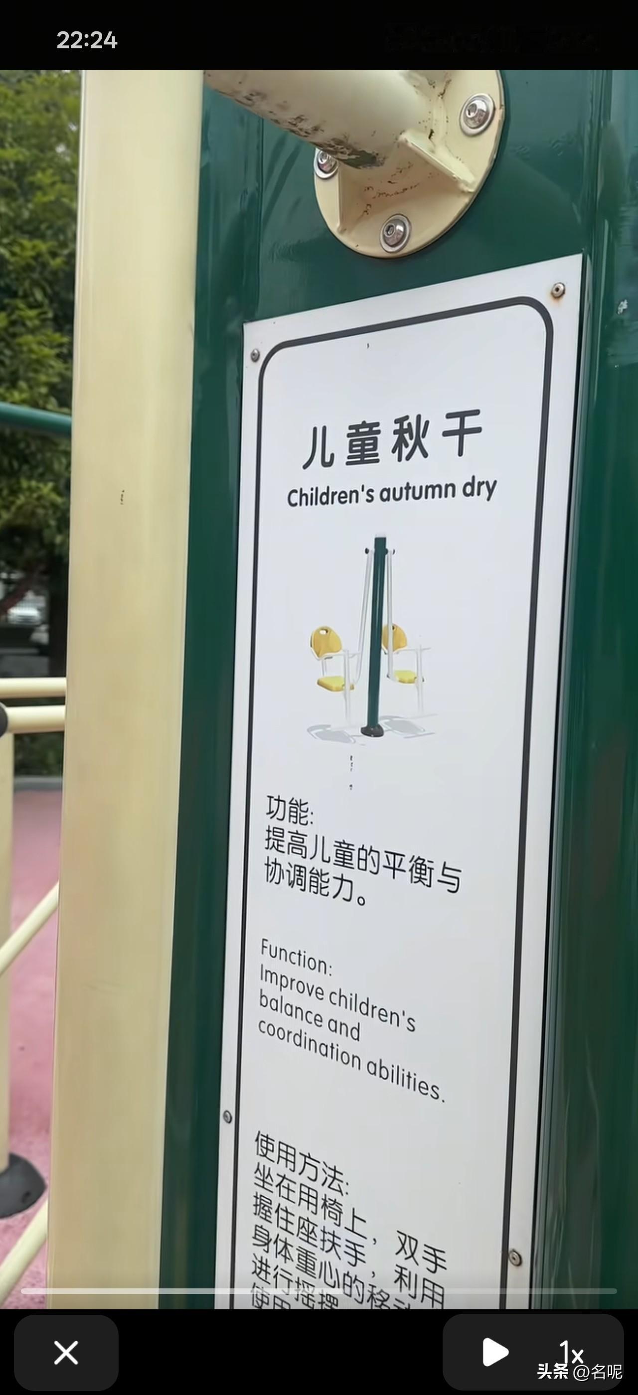 这是什么？“儿童秋干”？再看底下的翻译，“children's autumn d
