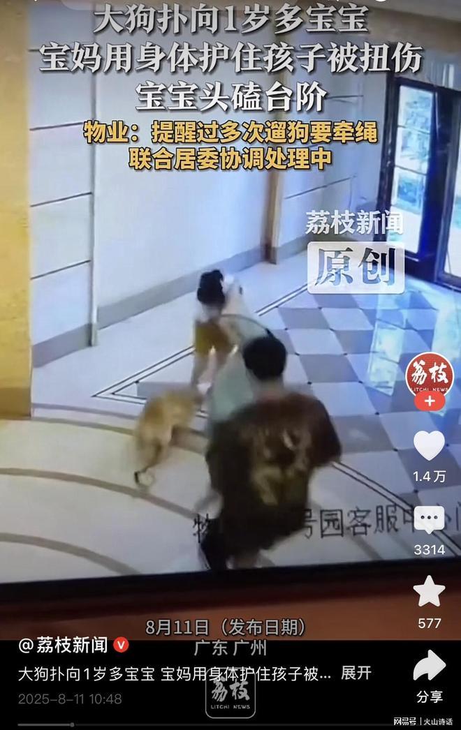 惊心动魄！又一起大狗袭击小孩的事情发生了！8月11日，广州某小区的大厅门口，一位