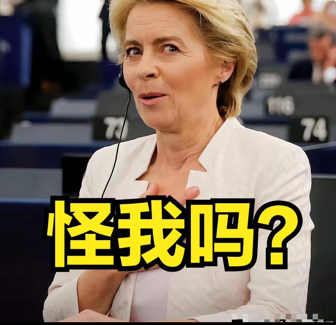 欧盟惧怕俄罗斯，惹不起美国，企图在中国这里找补，却被中国狠狠上了一课。

当前，