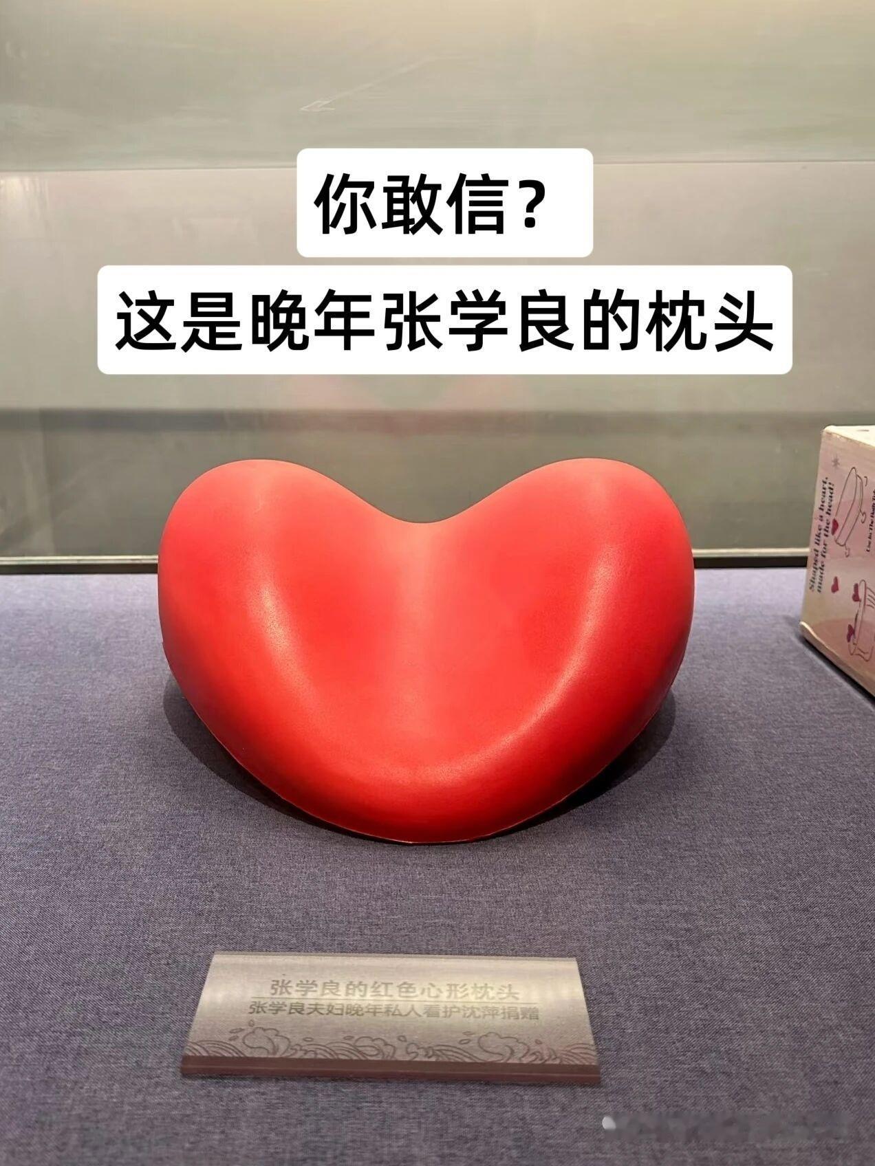谁能告诉我，这个枕头要怎么使用？[机智]