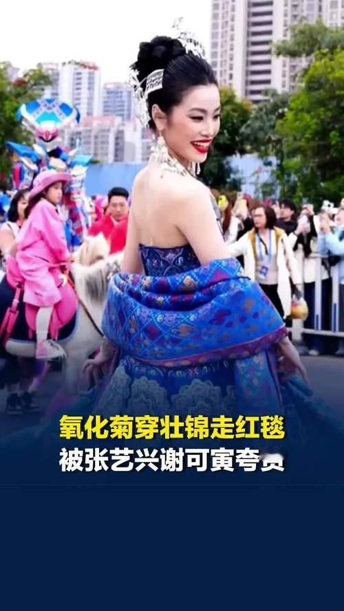 新生代艺人氧化菊亮相戛纳电影节红毯，一身独具民族风情的壮锦高定礼服格外吸睛。服饰