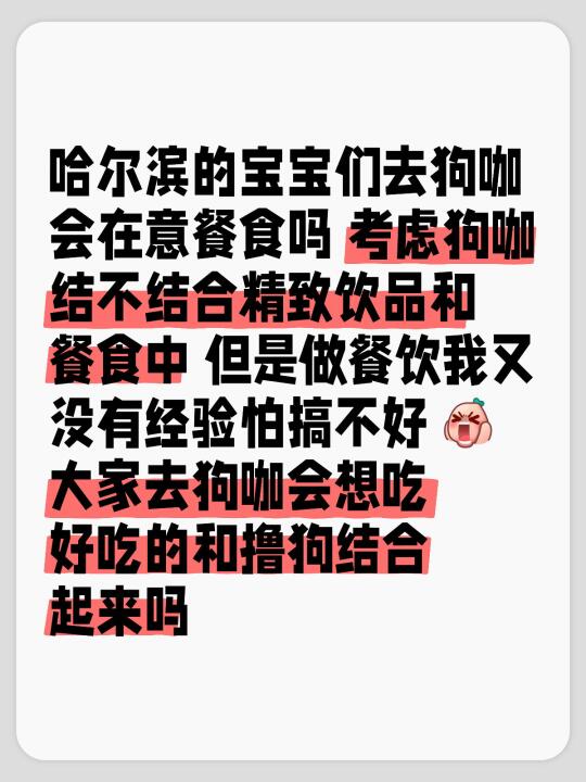 哈尔滨的小宝们！别睡了！看看我！