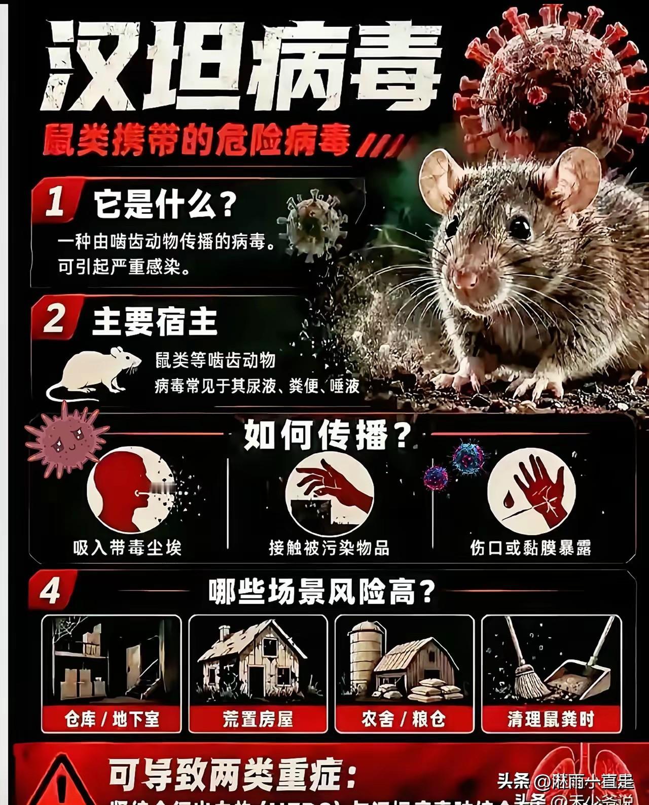 刚刚发现的新病毒-汉坦病毒，病毒的源头是一对荷兰夫妇在阿根廷乌斯怀亚观鸟的时候感