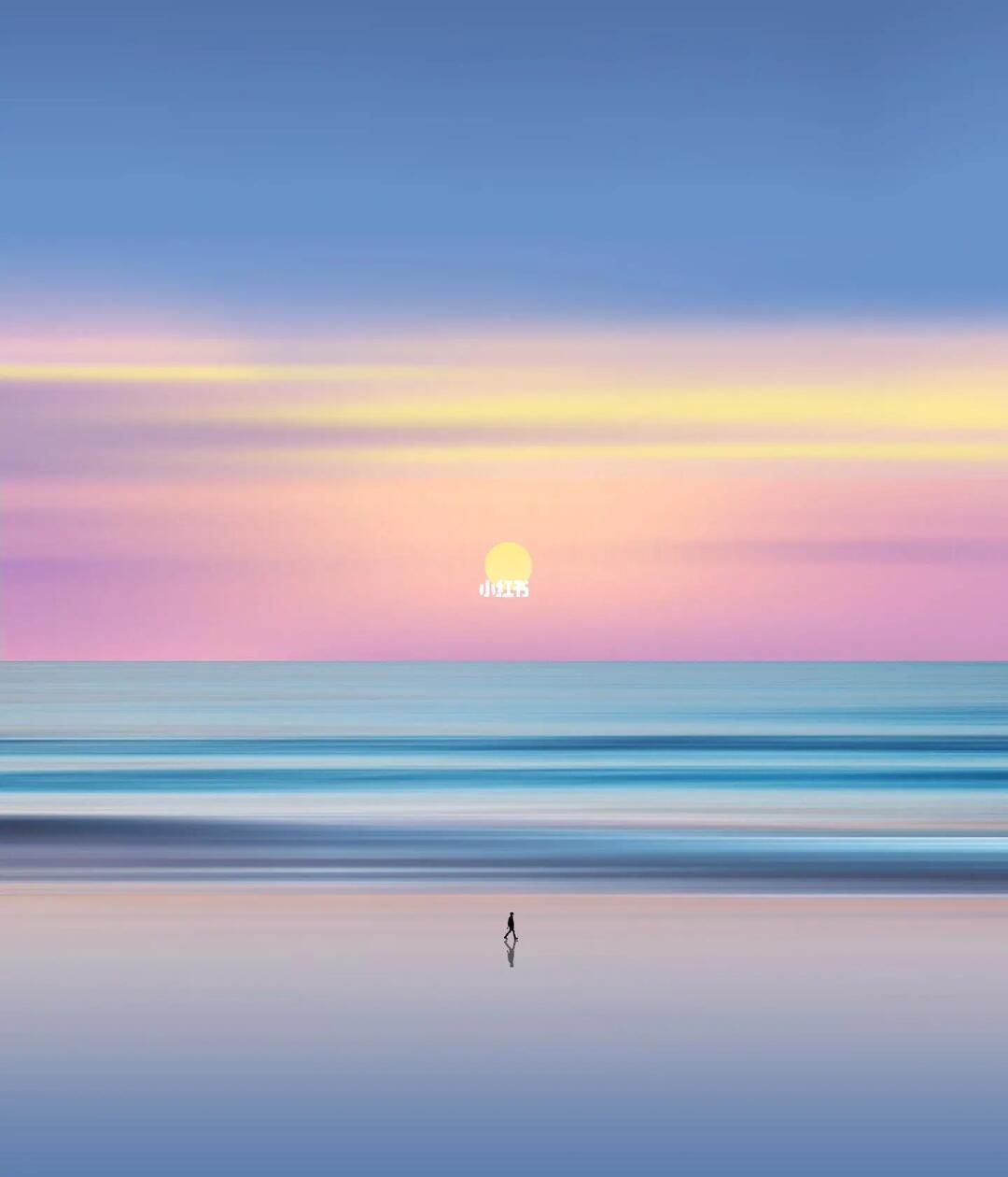 审美提升|每天认识一位摄影大师204