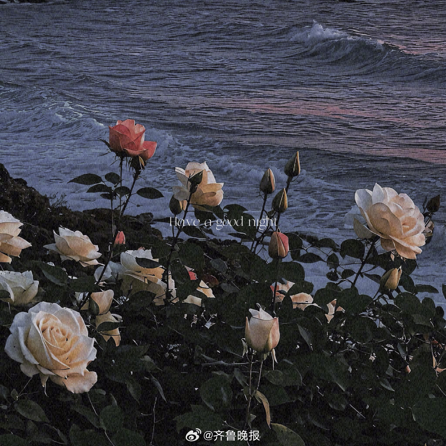 快也好慢也好各按其时成为美好[月亮]#晚安# ​​​