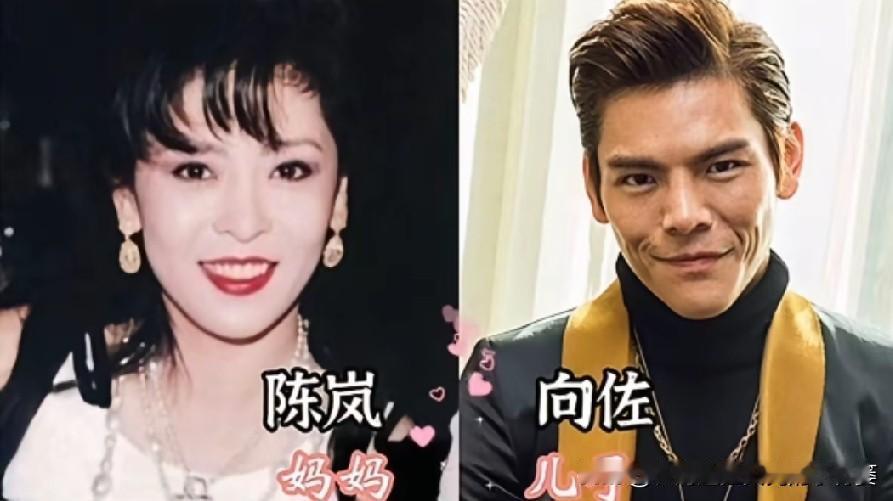  原来帅气有缘由，明星母子同框合集
​妈妈颜值好高！这些男星完美遗传妈妈的好底子