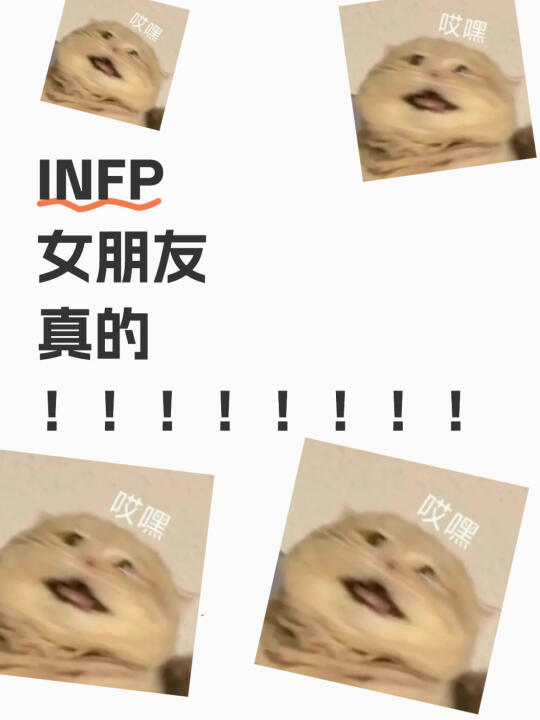 infp 女朋友真的！！！！！！！