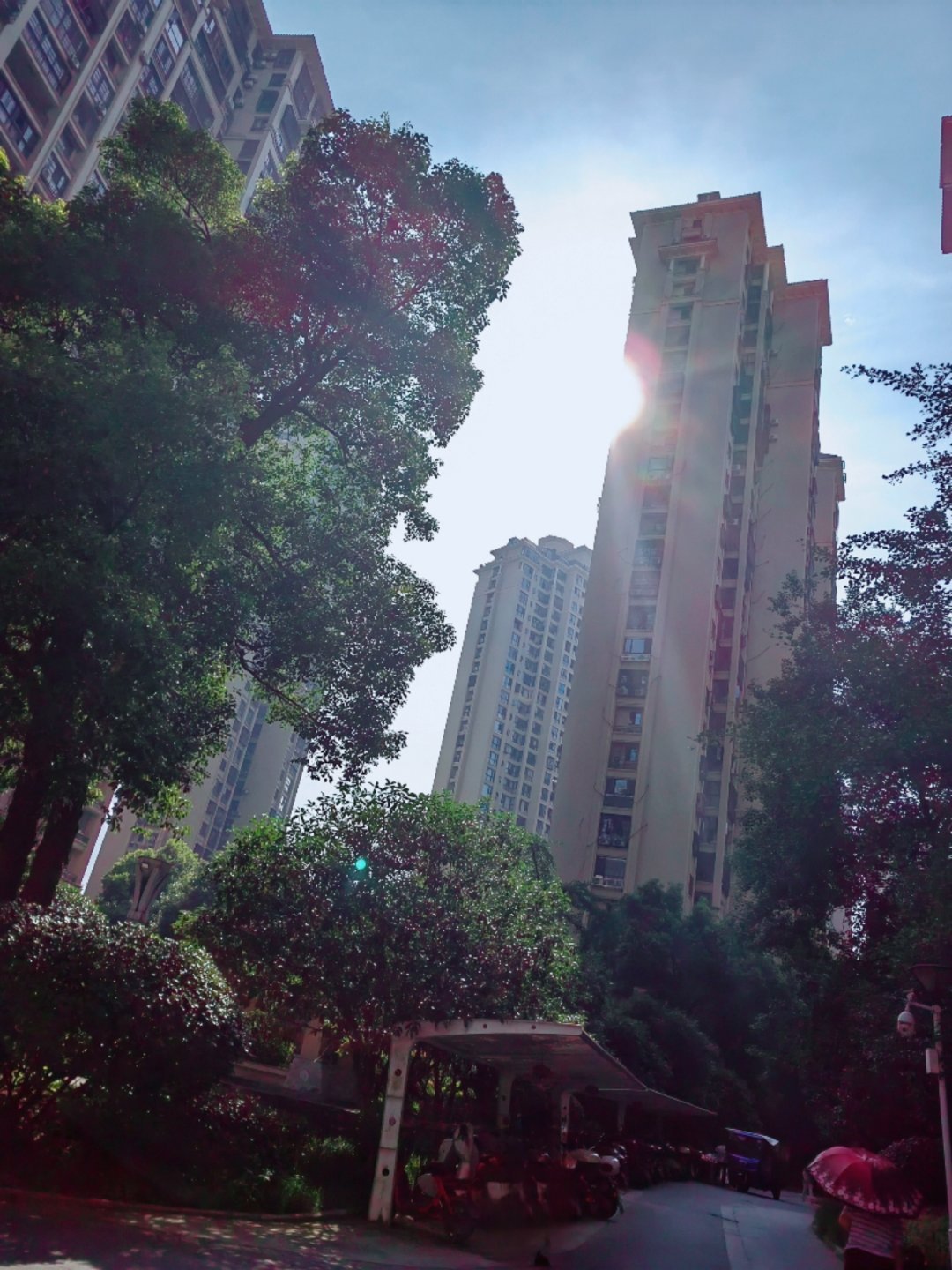 生活手记🈶大☀的一天开始