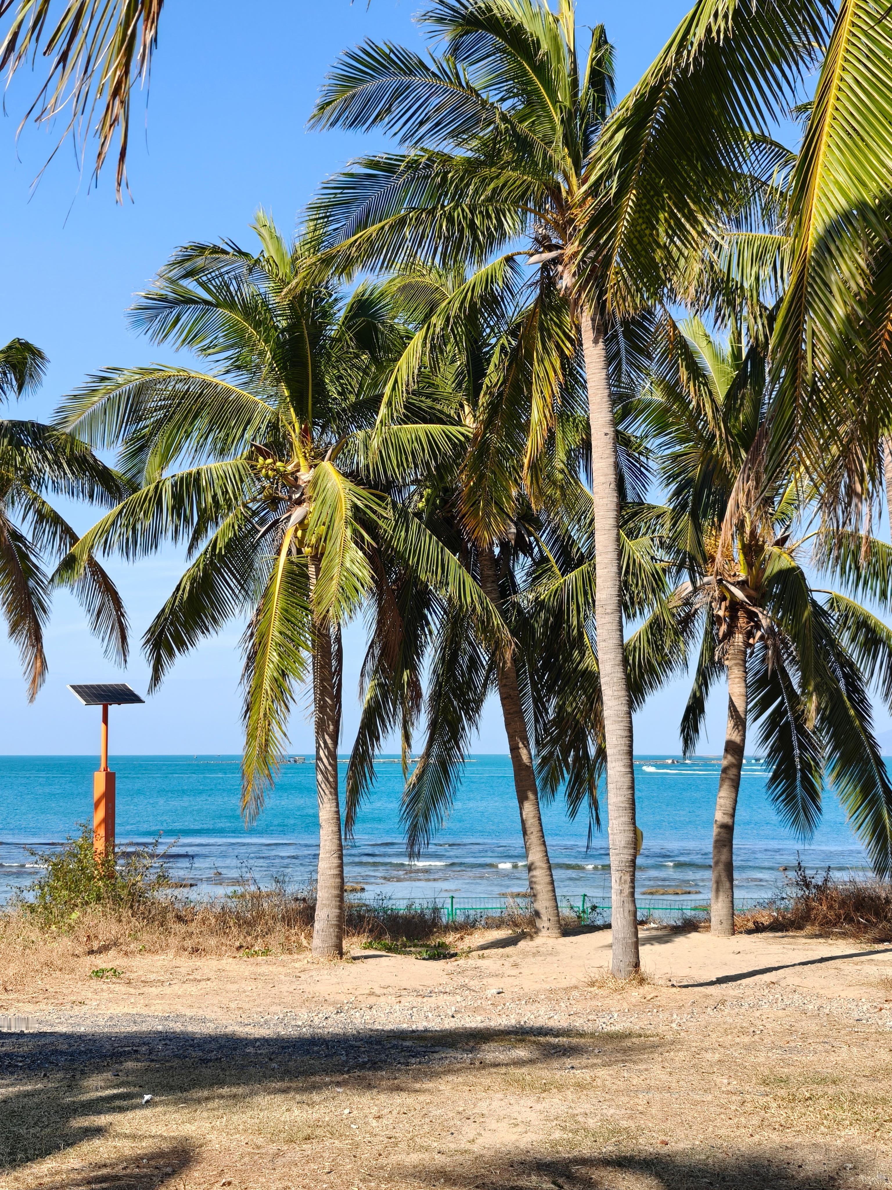 现在把小米8探索版拿出来说事，跟翻鼎桥手机一样，都是为了黑而黑。 