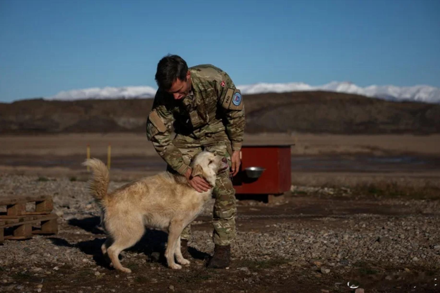 特朗普嘲讽格陵兰雪橇犬巡逻 丹麦特种兵曝“硬核训练”堪比海豹部队海外新鲜事 据《
