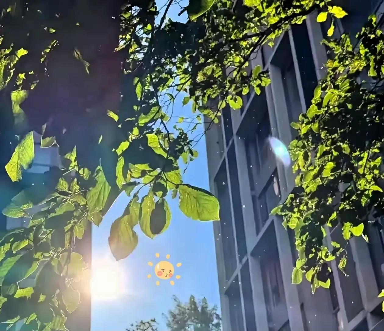 通知大家。大家要做好准备。还有12天，也就是8月14日就正式入末伏了。末伏跟中伏