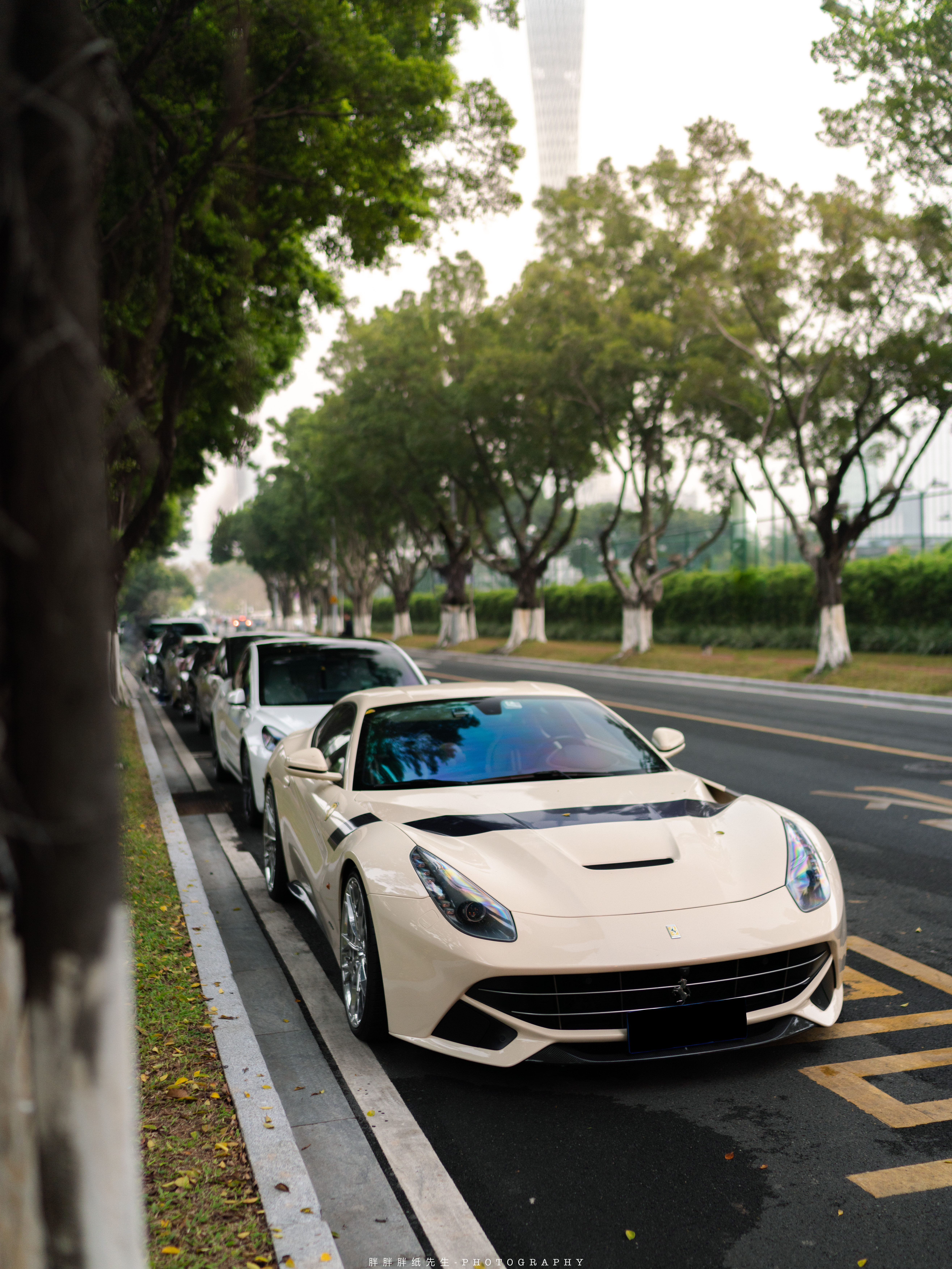 Ferrari F12 Berlinetta Tailor-Made 马球定制款