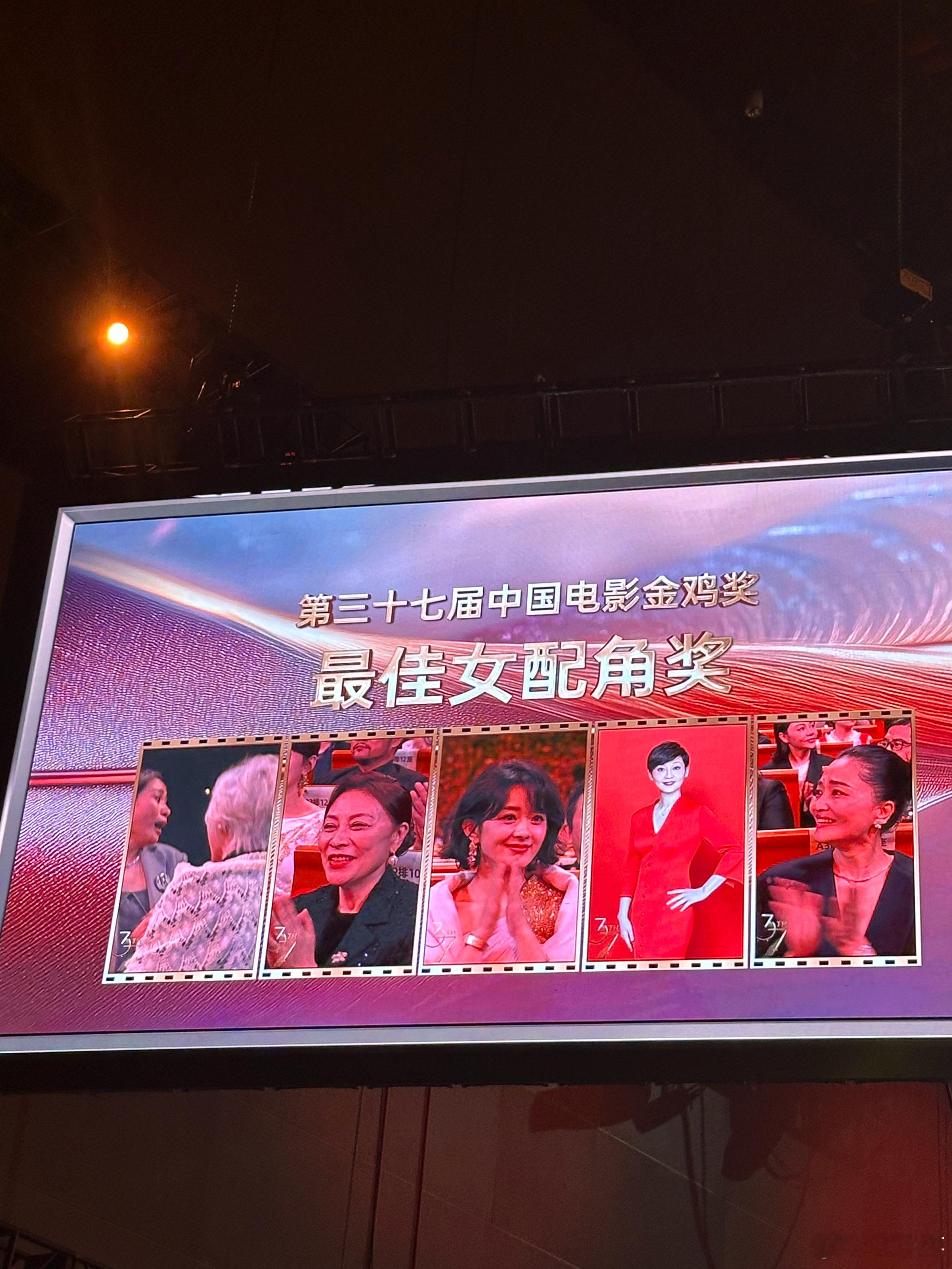 金鸡奖 获奖名单最佳女配：刘丹《乘船而去》最佳男配：王骁《三大队》 最佳导演处女